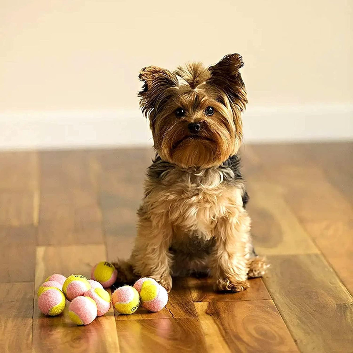 X-Small Dog Tennis Balls, 1.5 Inches, Set of 12