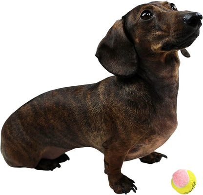 X-Small Dog Tennis Balls, 1.5 Inches, Set of 12